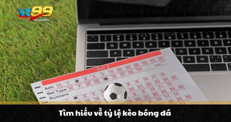 Tỷ lệ kèo bóng đá - Cách đọc kèo dễ hiểu cho người mới chơi 2 Tìm hiểu về tỷ lệ kèo bóng đá