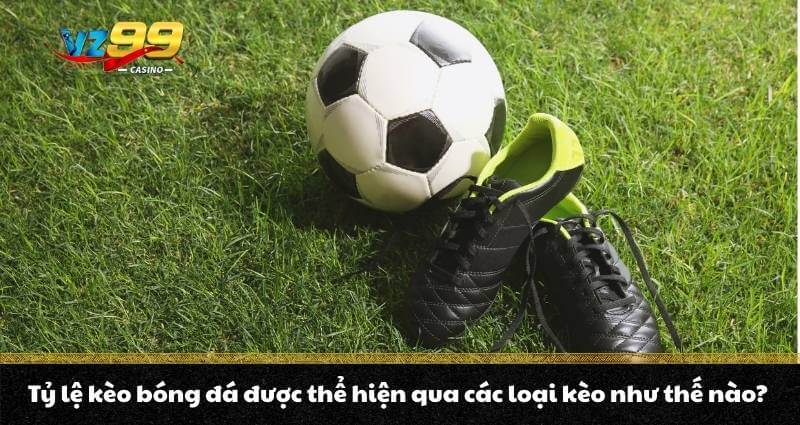Tỷ lệ kèo bóng đá - Cách đọc kèo dễ hiểu cho người mới chơi 3 Tỷ lệ kèo bóng đá được thể hiện qua các loại kèo như thế nào?